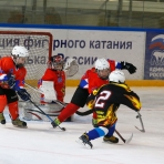  mg 0272